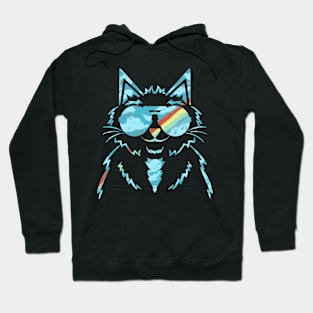 Rainbow Journey Cat With Black Background Hoodie